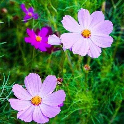 Bsports必一网页版登录